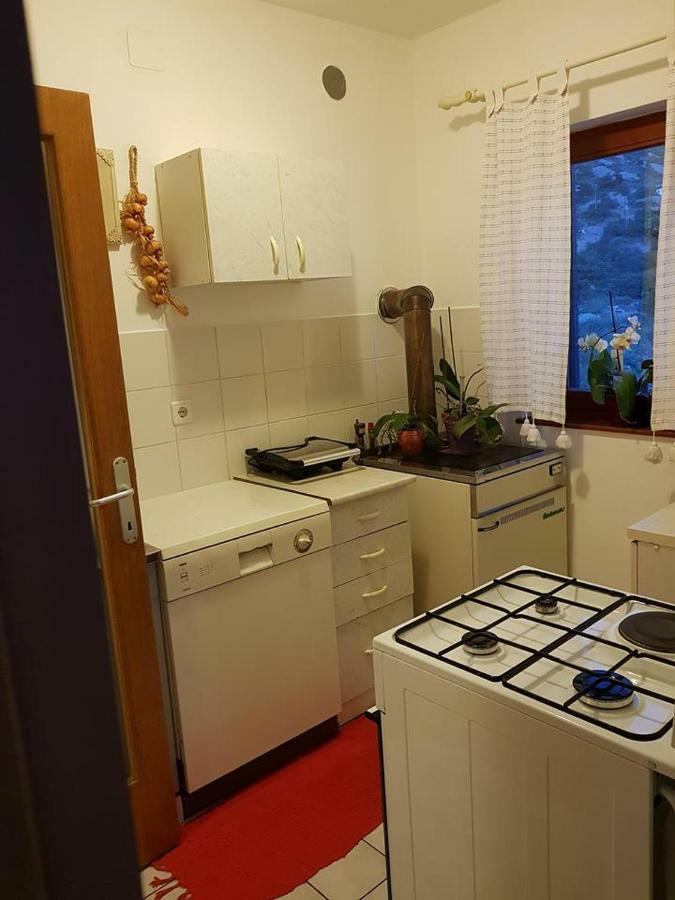Apartman Ada 塞尼 外观 照片